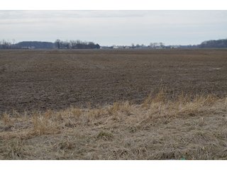 Property photo 37 - 173 +/- Acres Offered in 3 Tracts - Ohio Farmland